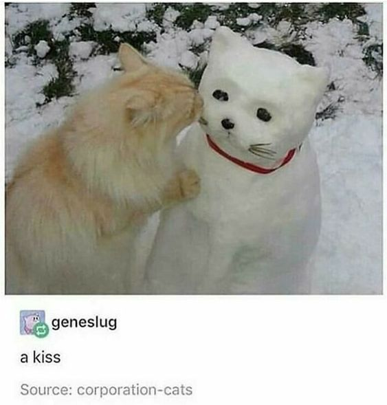WholesomeMeme's tweet photo. https://t.co/sTNSw0ySpz