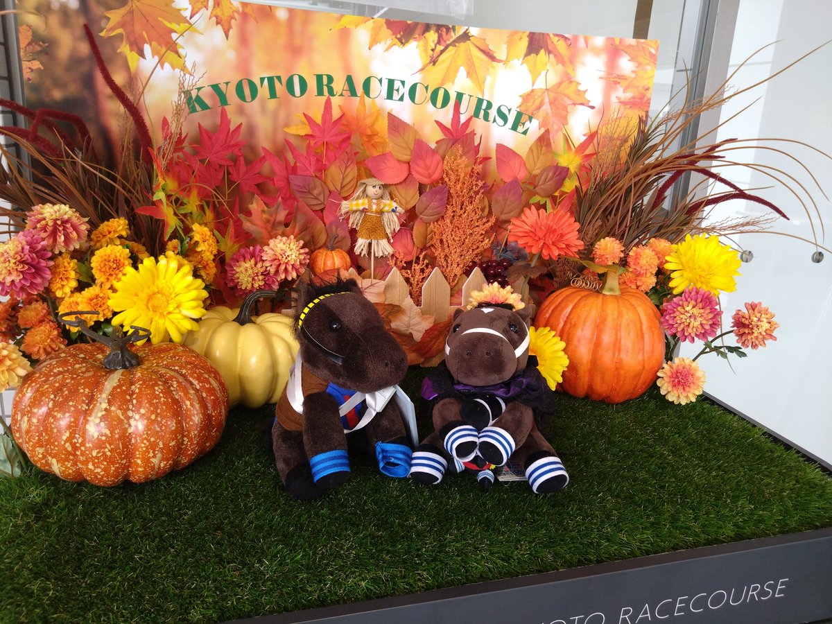 いゆ様☺︎専用ページ2点 ゆず@I˙꒳​˙) on X