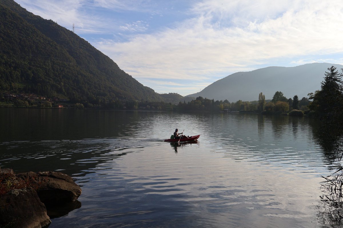 Rachel E. Kendrick tweet media