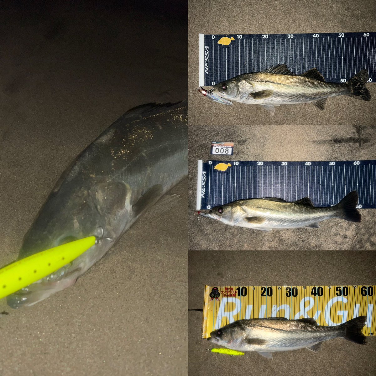 ひらめ　ページ 鮃狂（フラットジャンキー）ヒラメタルZ(ルアー)｜DAIWA