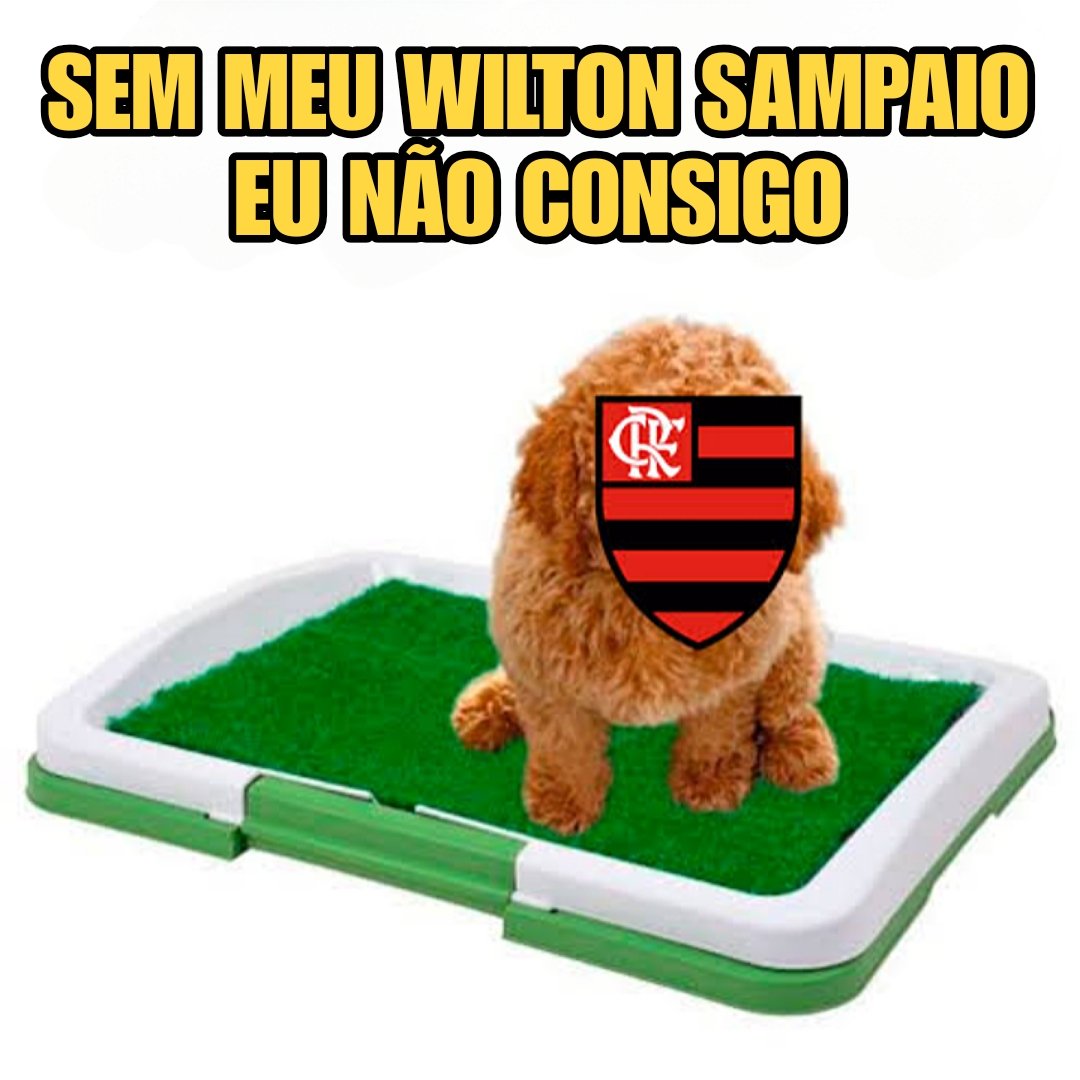 deprepalmeiras's tweet image. Segue o líder, Flaputa.