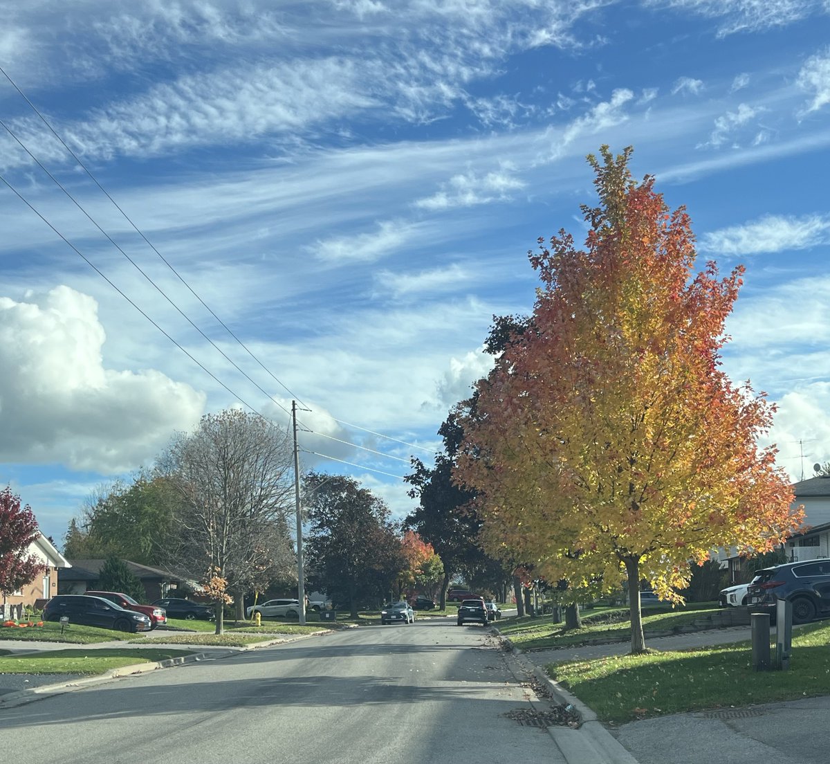 IHameedQ's tweet image. Nothing like Canadian #FallColors ❤️🇨🇦 🍁