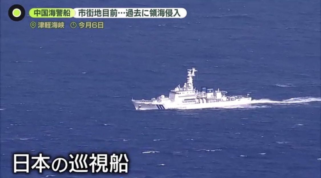 うみまる様 野生のうみまる on X