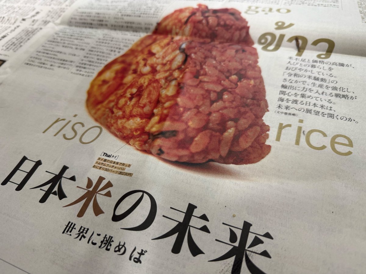 藤崎麻里　Mari FUJISAKI tweet media