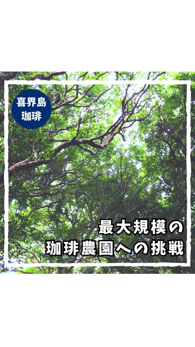 いよいよ第四農園の開墾を開始します😊

第一
第二
第三

なんだかんだ今回で第四！

4回目のコーヒー農園作ります☕️

#コーヒー

instagram.com/reel/DQOfWTAE5…