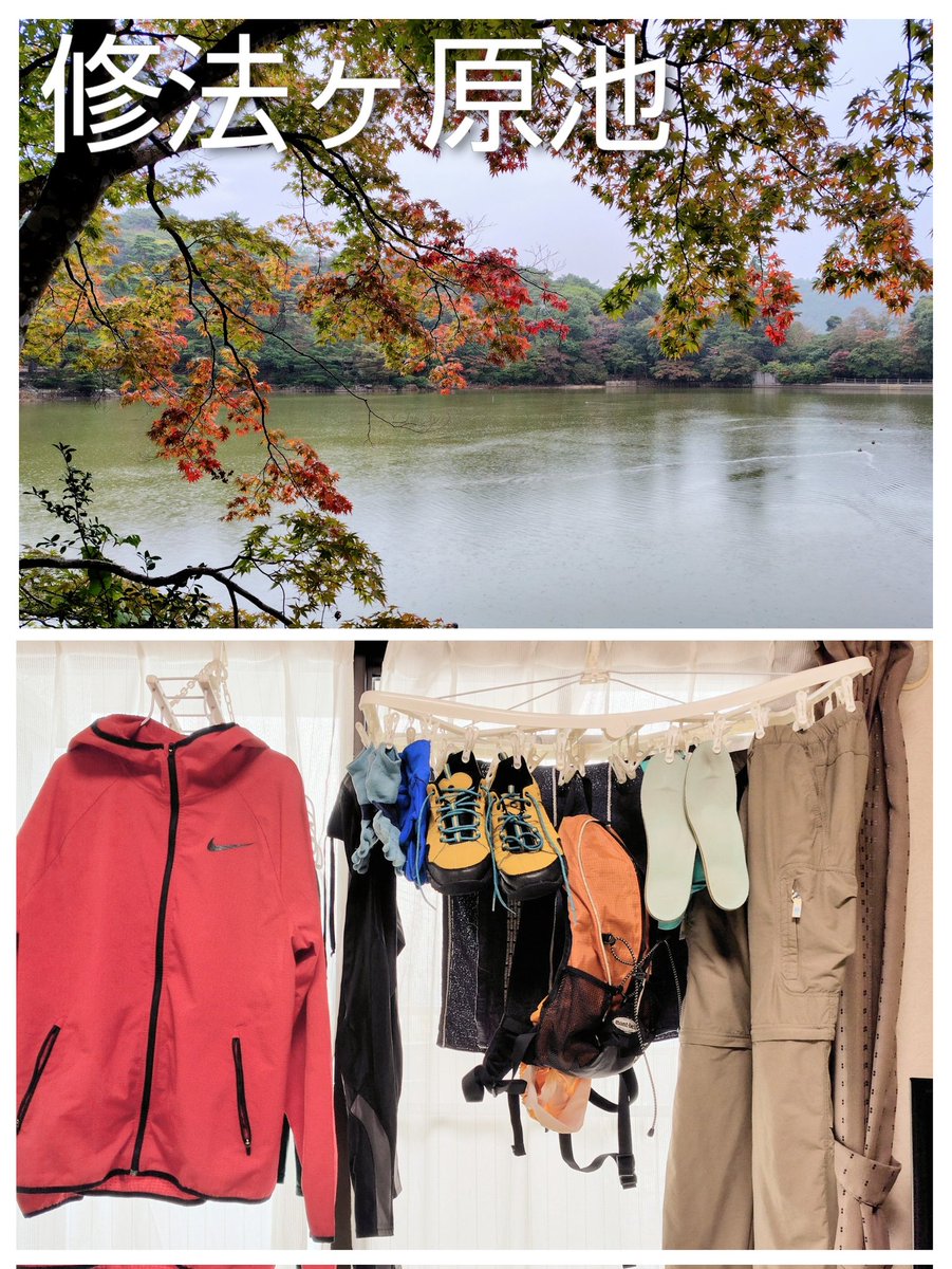 マー！ (@1X1GFjIYIbTDa5w) / Posts / X