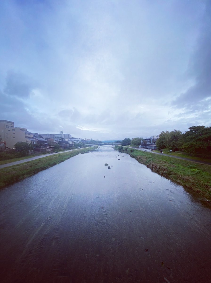 アート・デザイン・音楽 Under the Radar Amazon.co.jp: Under the Radar: ミュージック