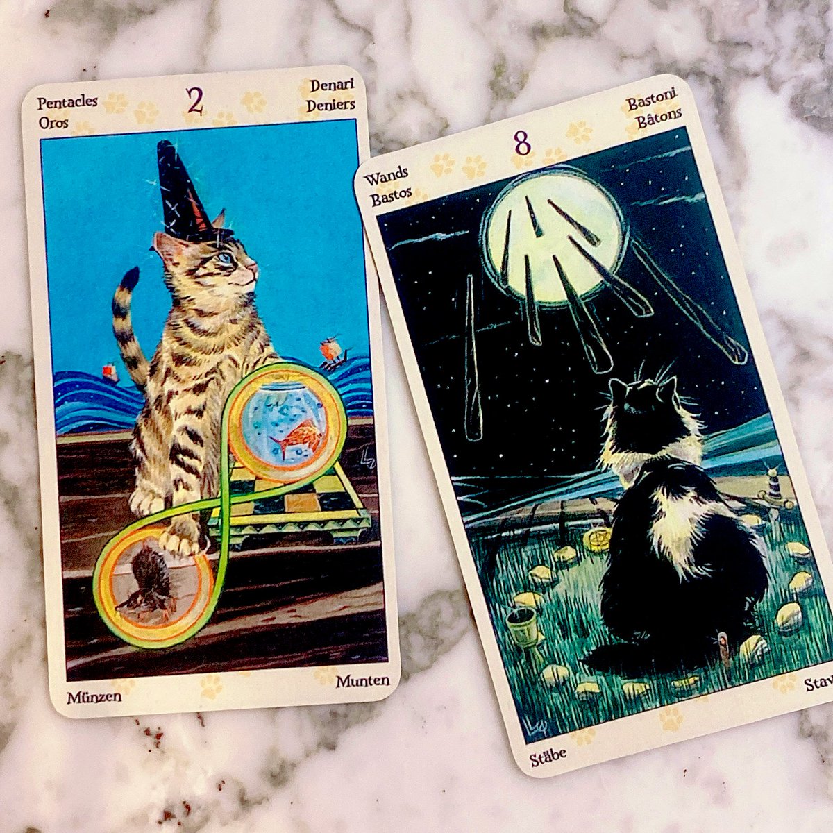 ✨ポチ猫◆210分延長電話鑑定◆霊能力でお相手の魂とお話いたします わこ🍉神ねこ10巻2025/07/18発売 on X: 