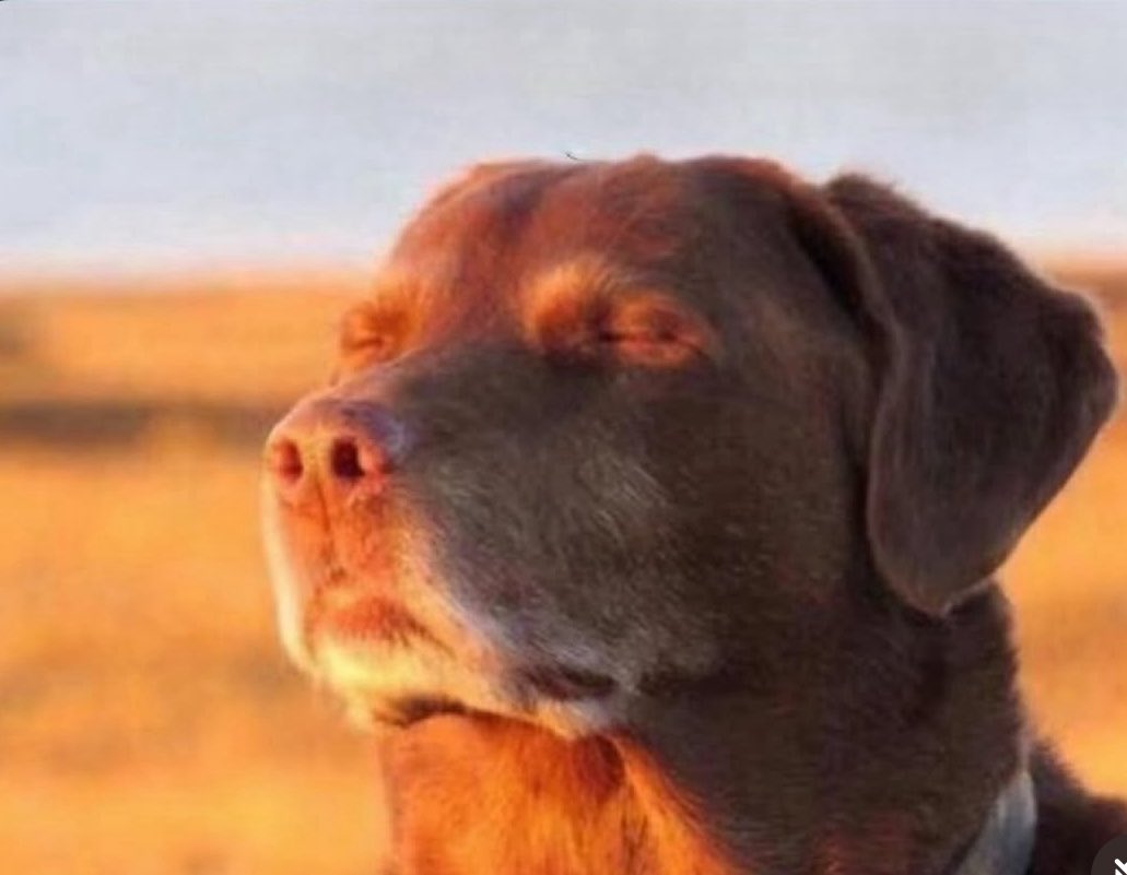 Offense needs to wake up