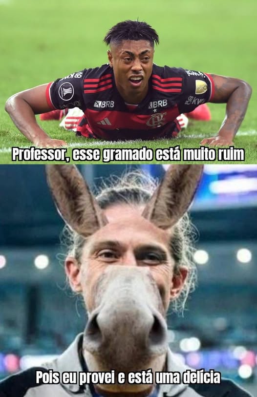 VAI TOMAR NO SEU CÚ FELIPE LUÍS. Enfia Bruno Henrique lá também. Treinador limitado do caralho!