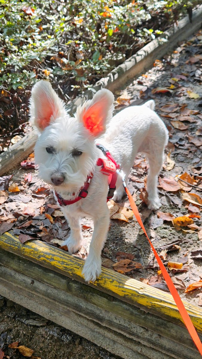 ❤️❤️❤️❤️