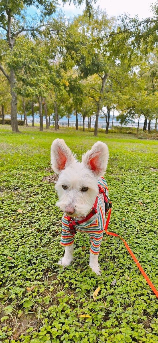 릴사원... 연차 그만 쓰세요... 툭하면 연차쓰고 할머니랑 놀러가죠...? 엄마랑 초키는 출근하는데.........