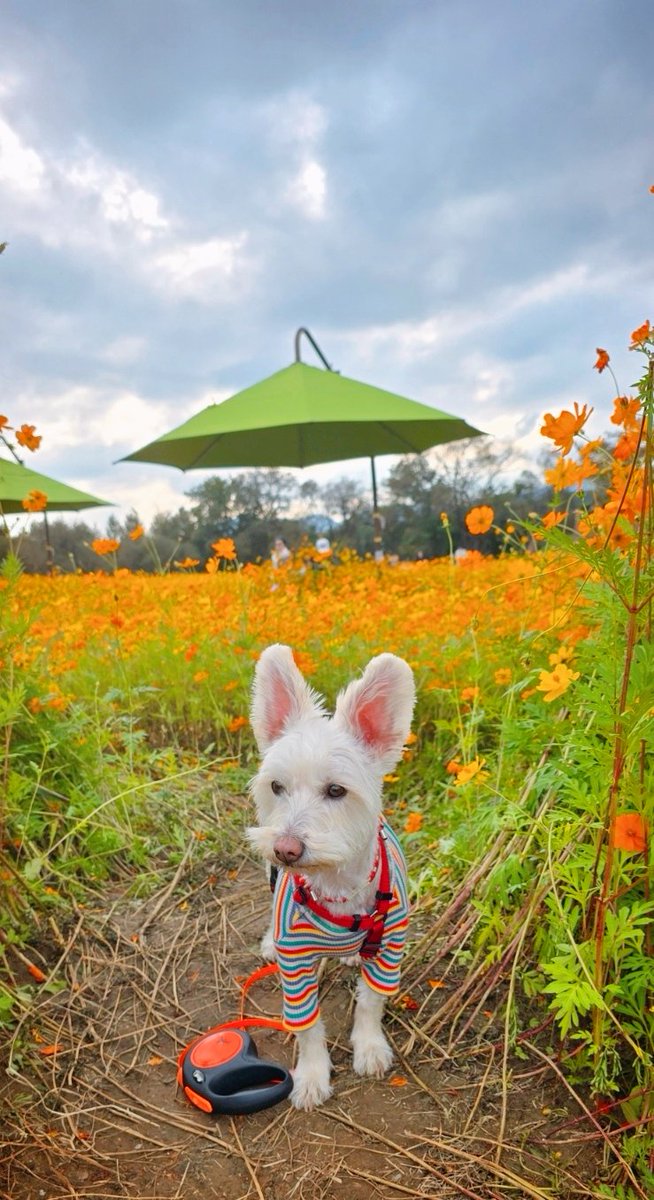 그치만 니가 행복하면 된 거지<