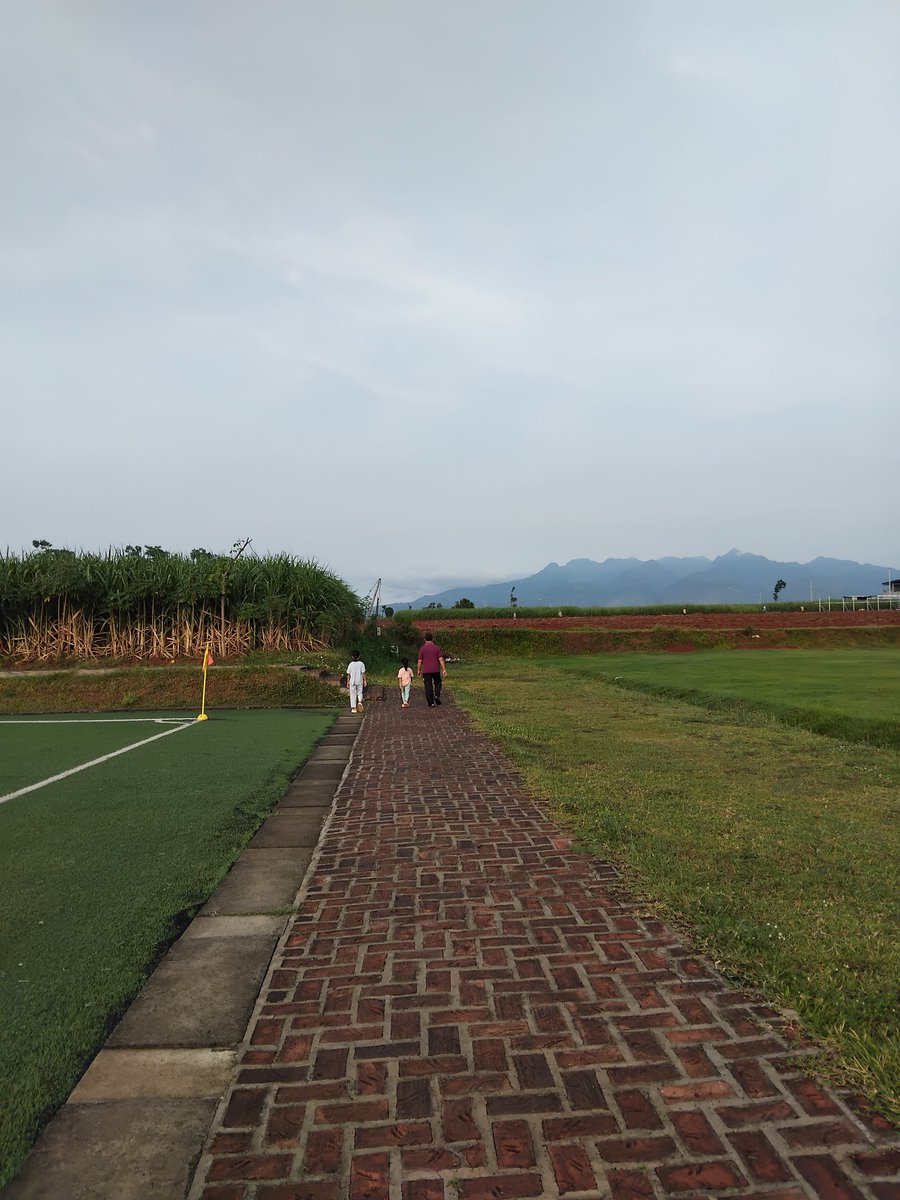 ristaslinuha's tweet image. Men sana in corpore sano.