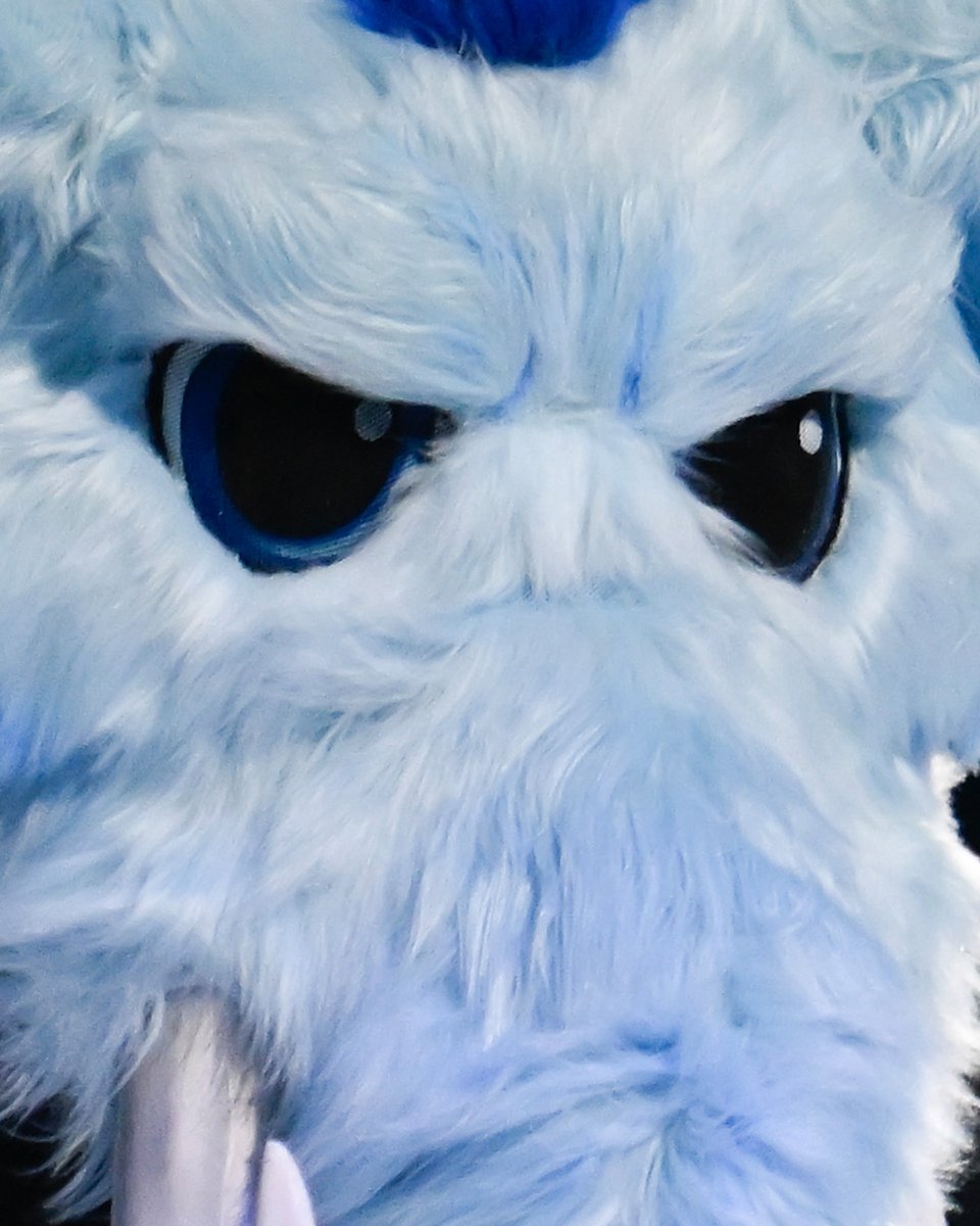 NHL's tweet image. *6-0-0