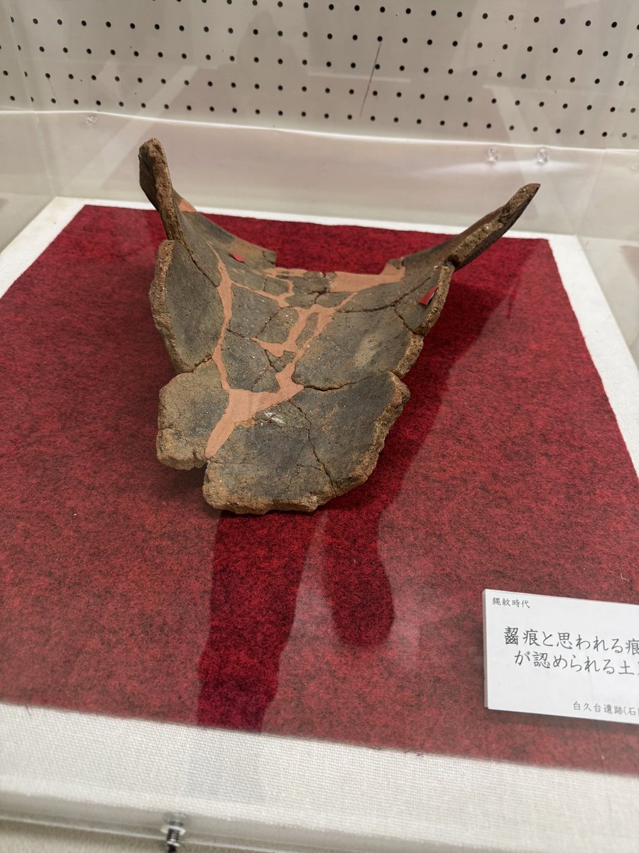 「三角形土版の破片」です。 99% error rate] Microsoft's entrance exam was amazing - YouTube