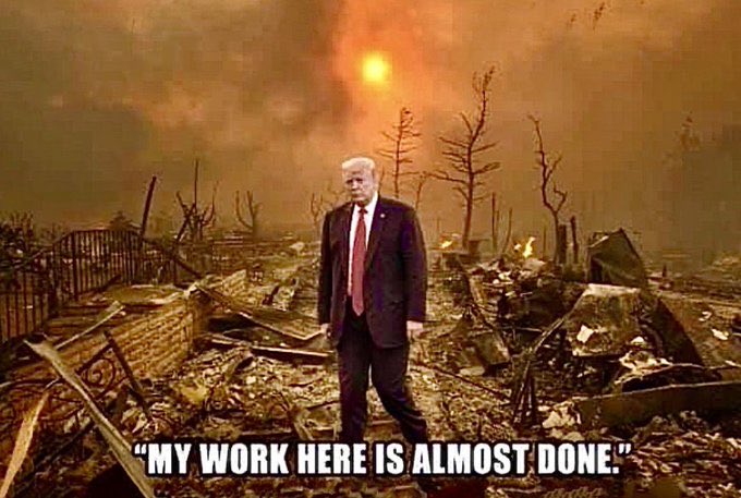 <a href="/DougWahl1/">Lovable Liberal and his Old English sheepdog</a>