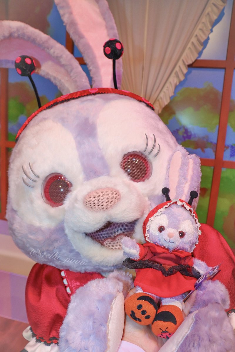 🎀ステラ・ヌー🐰🩰🎀 (@stella_nuuu) / Posts / X