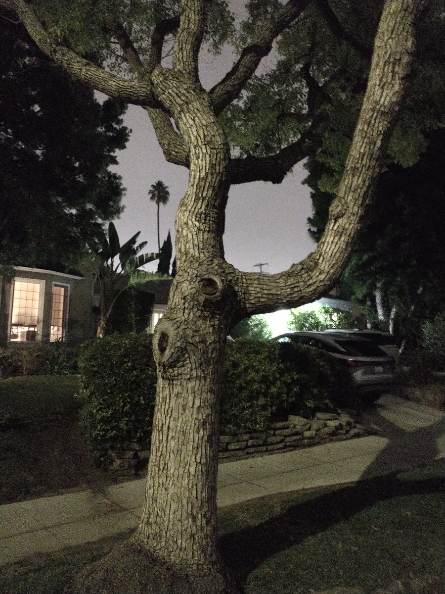 Mark Giffin tweet media