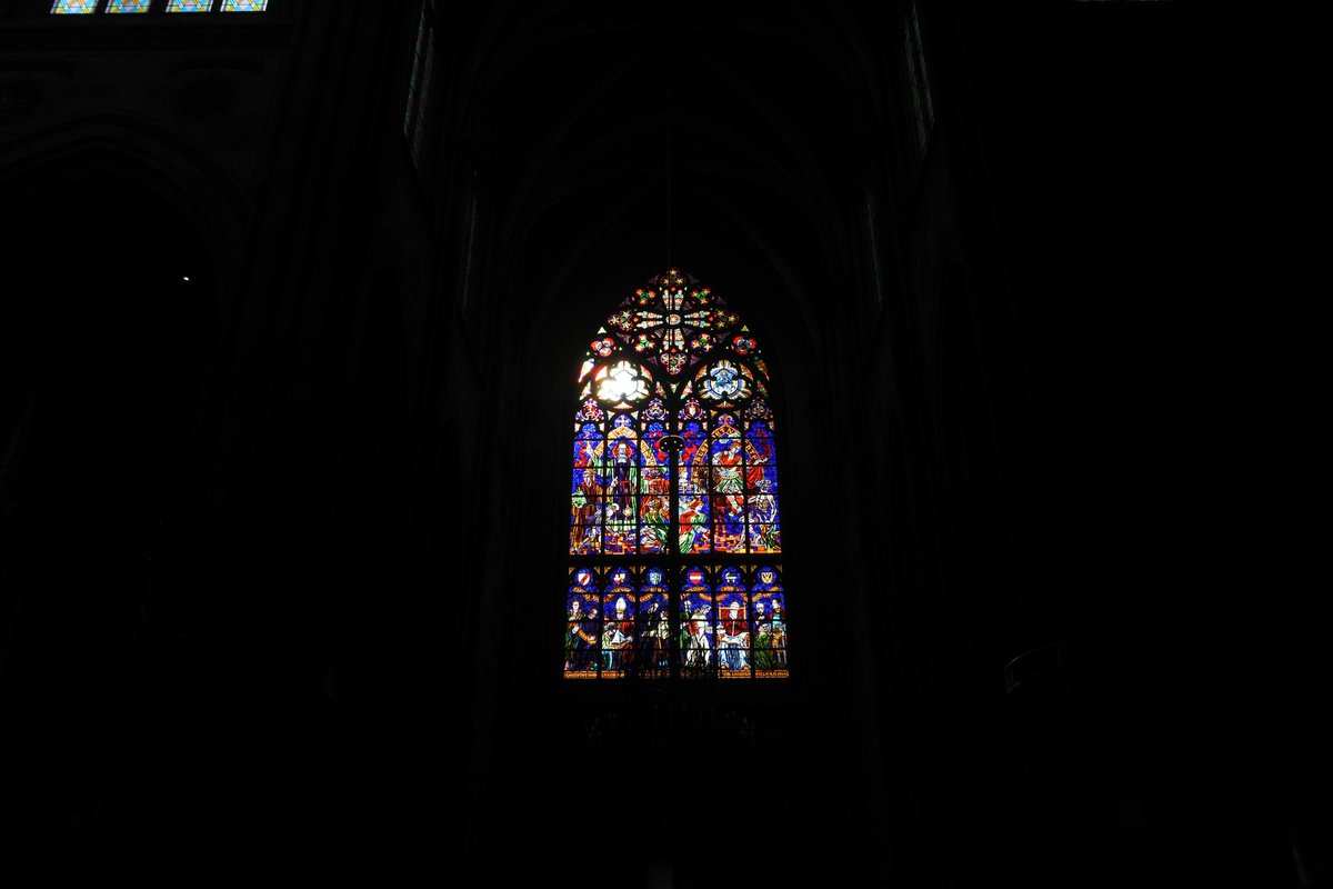 decemberin2000's tweet image. let the light in