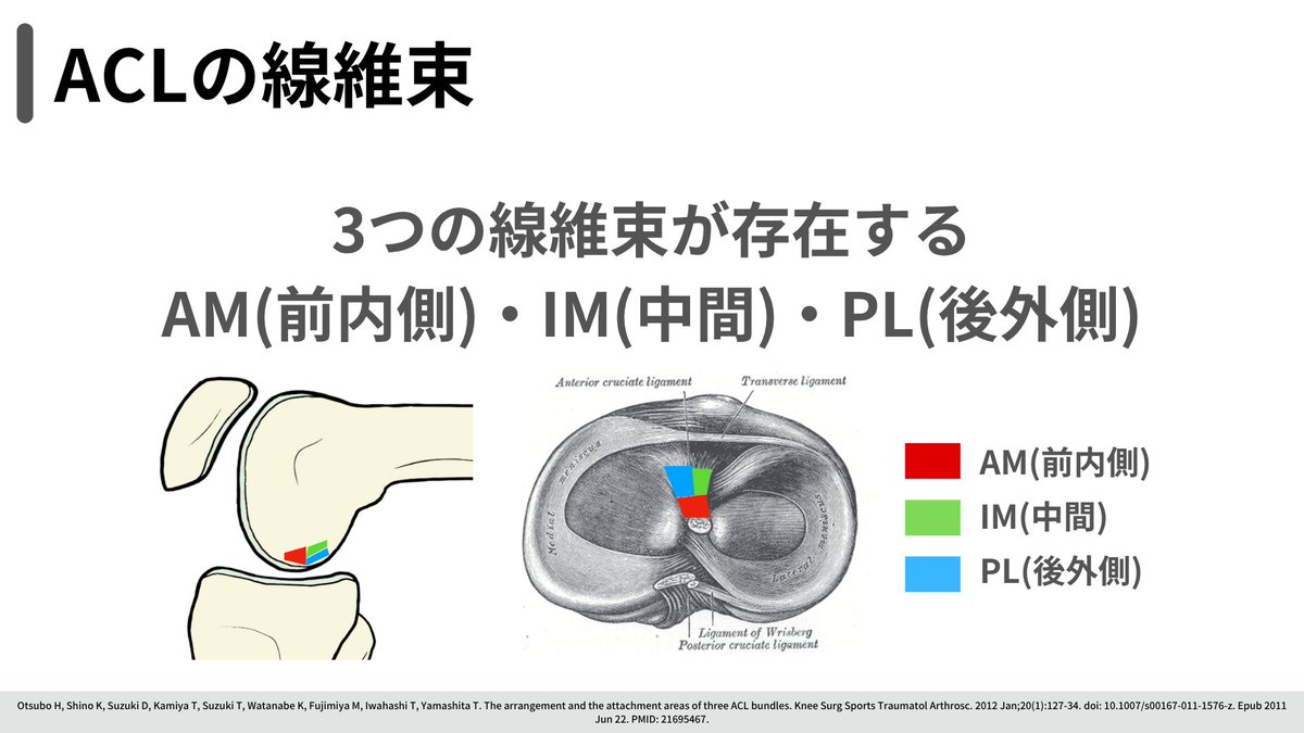 Ryuju@理学療法士 on X