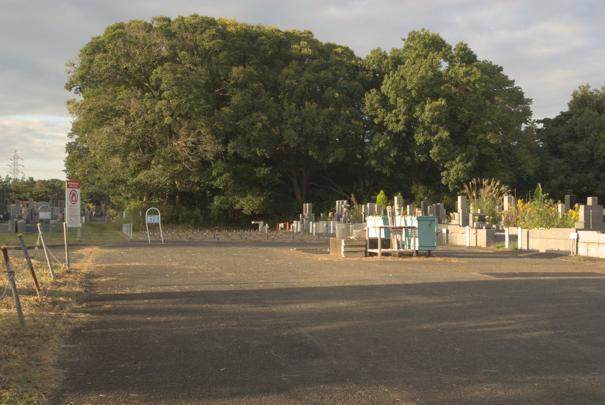 Ancientページ Gateway 286/386SX Platform Board (SlimLine) - The Retro Web