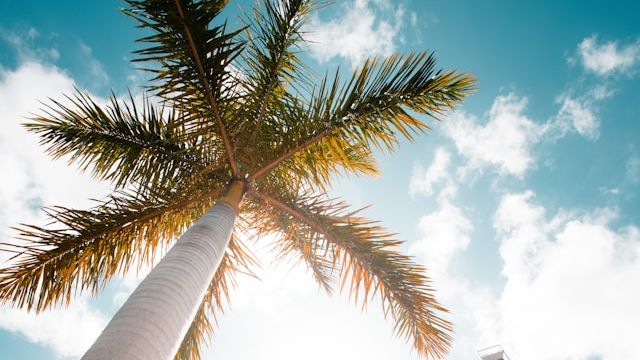 Budget Travel tweet media