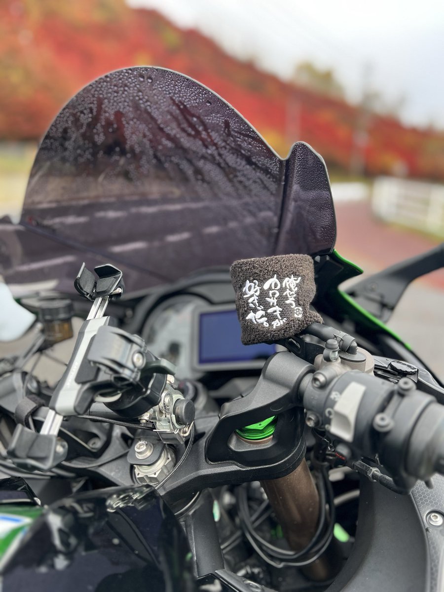 ⭐️きくりんです きくりん (@maronicos) / Posts / X