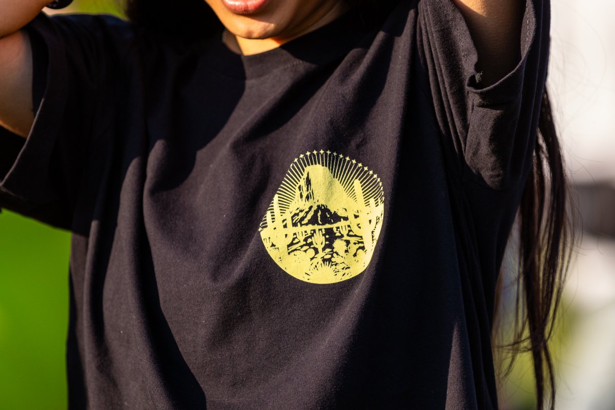 Festival Pulso GNP tweet media