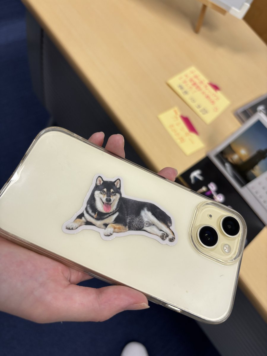 shirokanephoto's tweet photo. 2日目からグッズコーナーにステッカーが登場❗️ネモフィラと学責実家で飼ってる犬です❗️ https://t.co/U02sgV9lrT
