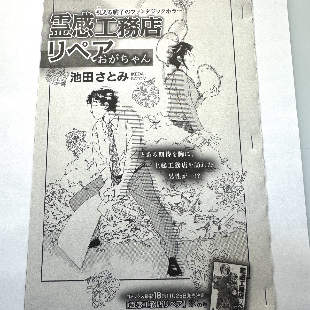 17冊セット♪霊感工務店リペア 怪の巻～守の巻 - 池田 さとみ