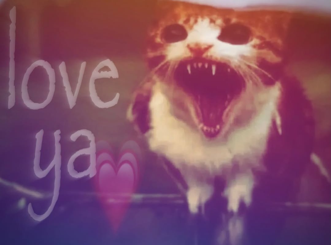 SuperG1252's tweet image. Free kisses?
#awesomesauce