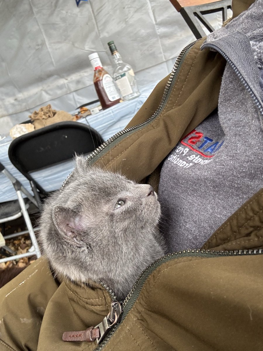 steven_pee51332's tweet image. My new little friend, she will help me heal ♥️