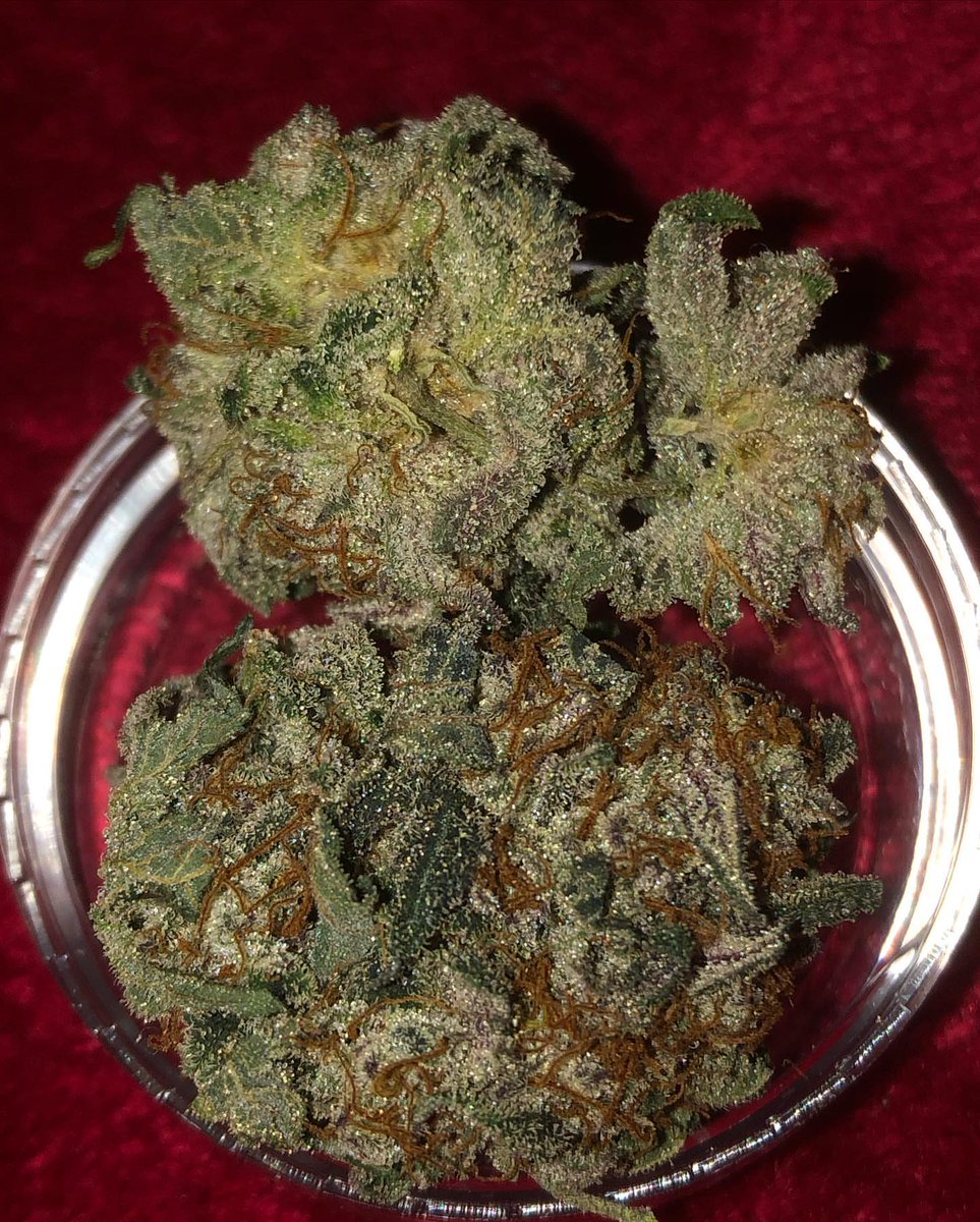 Restocktation's tweet image. Finished product🍦✨ kw2
This one def held up to the name with the cake and cream terps🎂😋