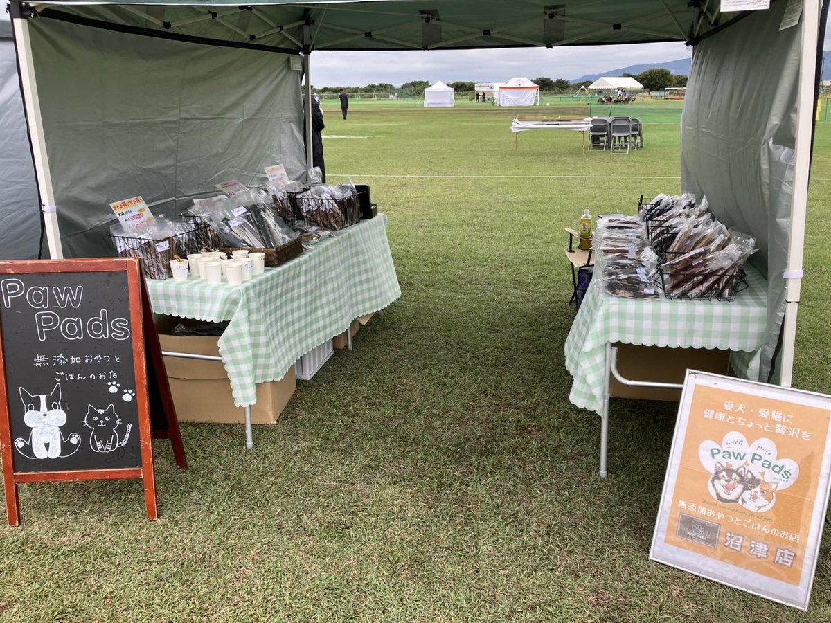 FamilyPads32820's tweet image. 御殿場プレミアムアウトレットドッグフェスティバル2025、ST連合日本訓練競技会に出店中です！🎪
雨模様ですが、お出かけの際はお気をつけてぜひお立ち寄りくださいね✨

#pawpads #無添加おやつ #愛犬とお出かけ
