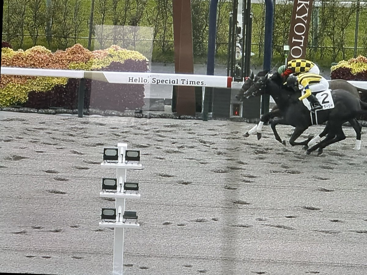 ガジコパパ on X