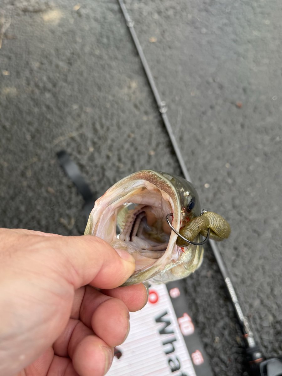 ヨッシーです 1983 Datsun 280ZX | Classic Cars for Sale - Streetside Classics