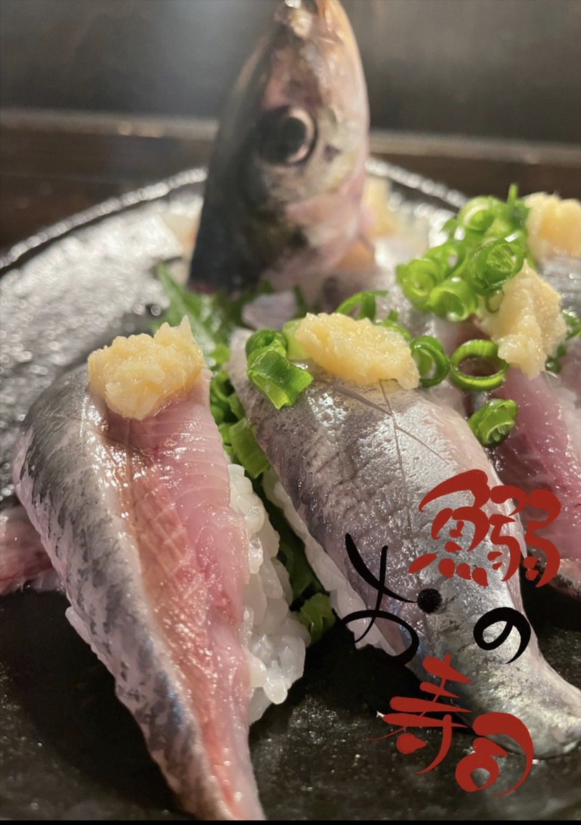 イワシ - Search / X