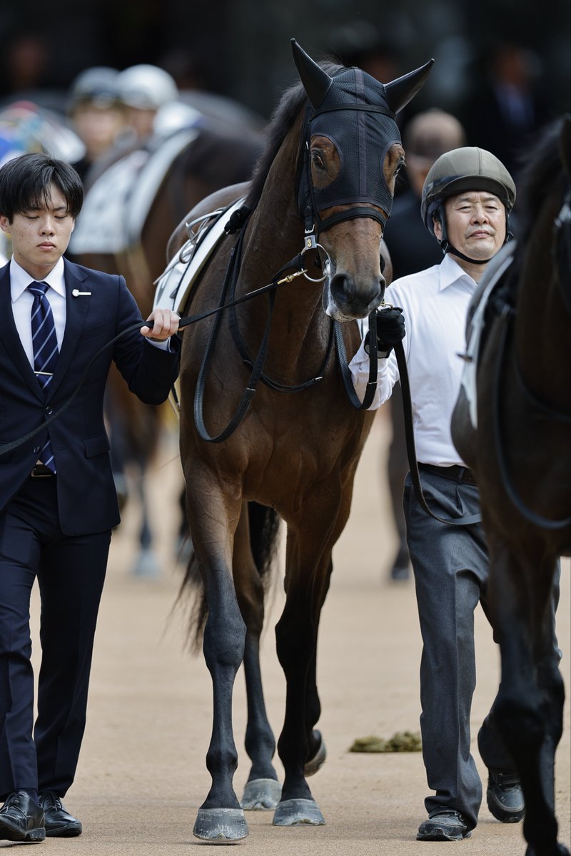 ΦphiΦ】 (@phi56326841) / Posts / X