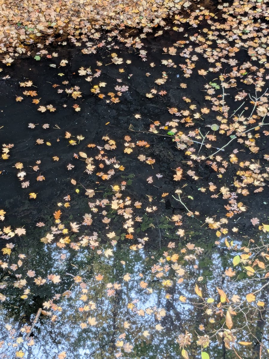 𝘥𝘢𝘷𝘪𝘢 🇻🇪 (@davbelian) on Twitter photo 