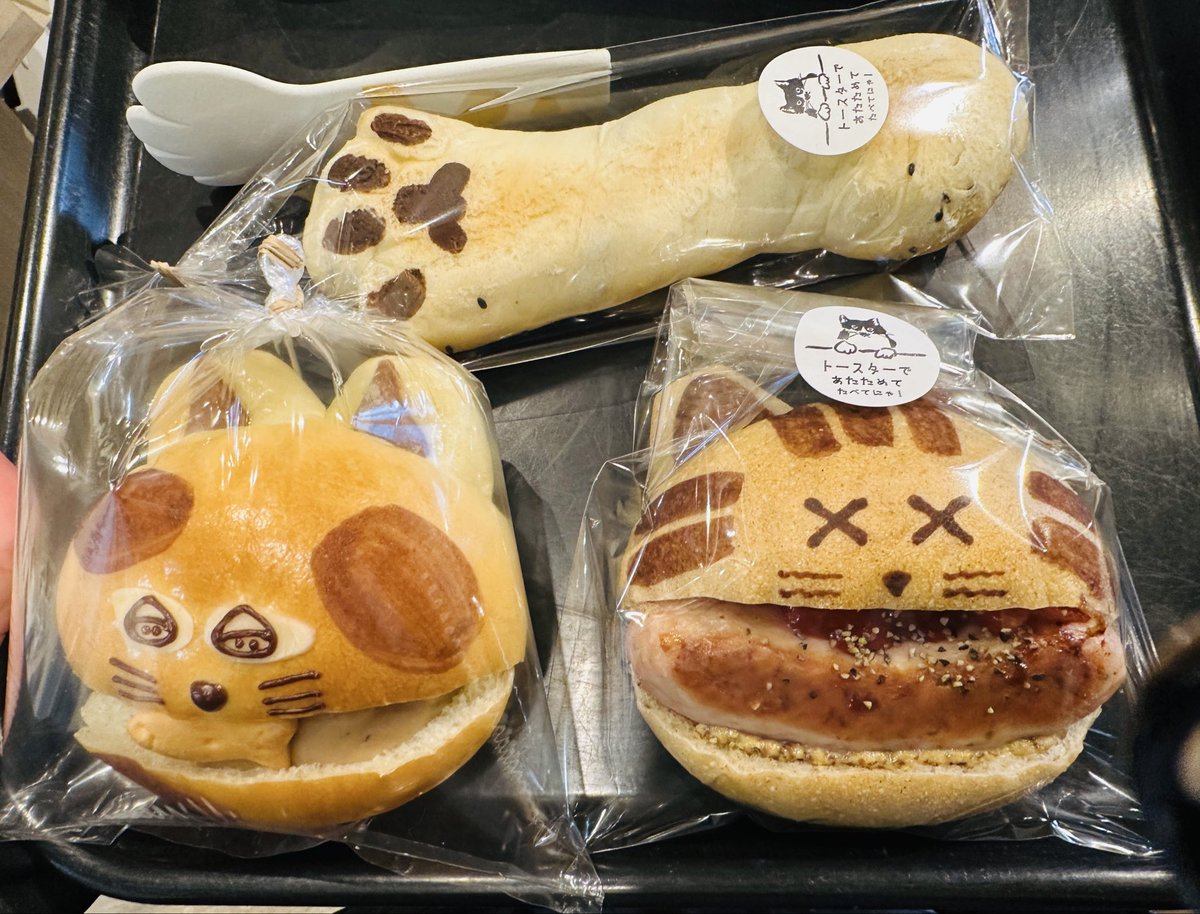 あーにゃん Nissan Skyline R34 End Game Collection Z-Tune AUSTRALIA