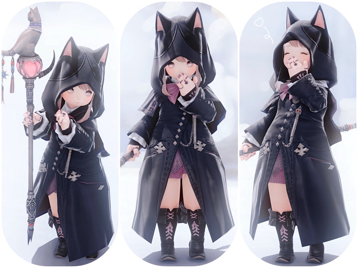 紫苑ページ 紫苑＠黒猫 (@shion_kuroneko) / Posts / X