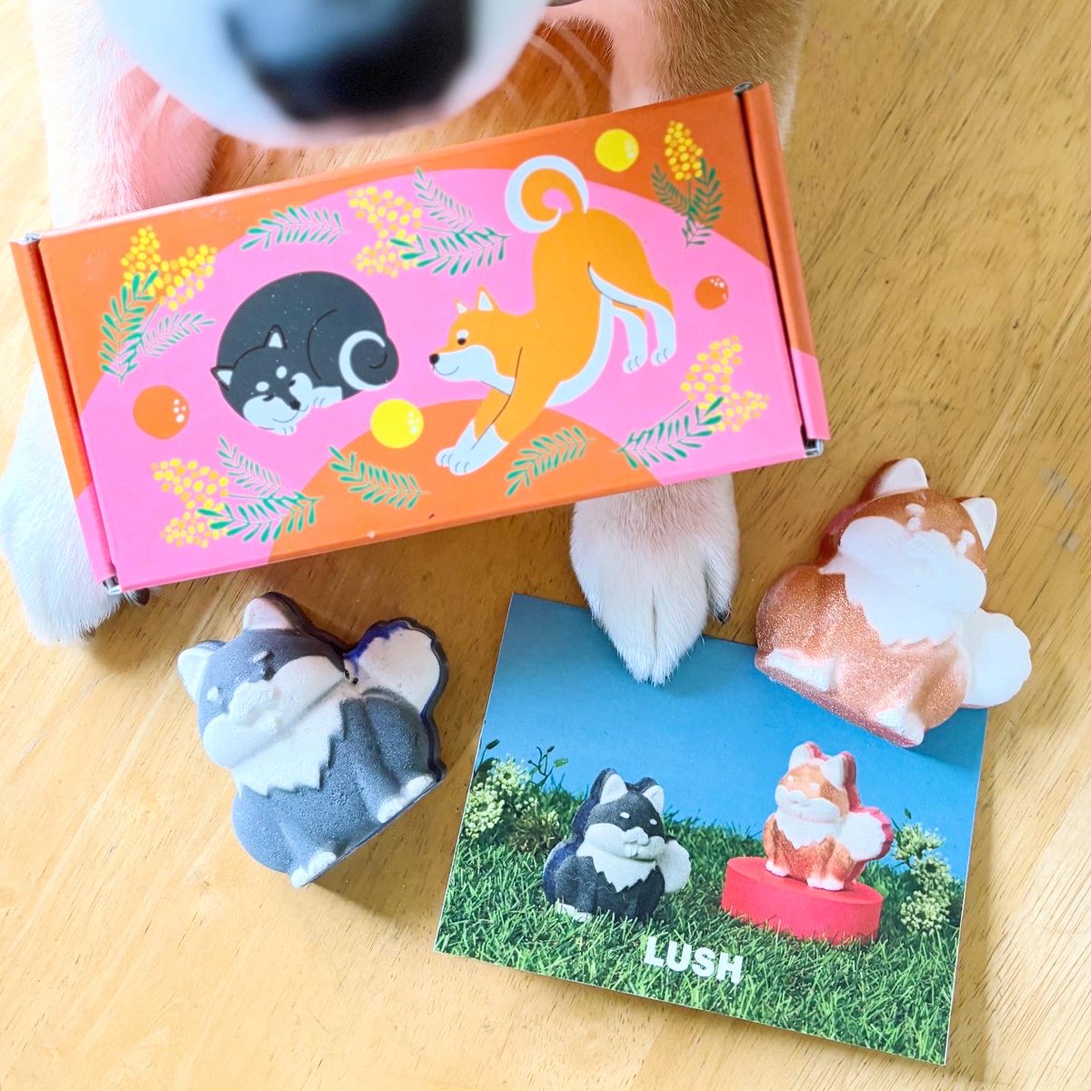 菓餡 (@kaan0906) / Posts / X