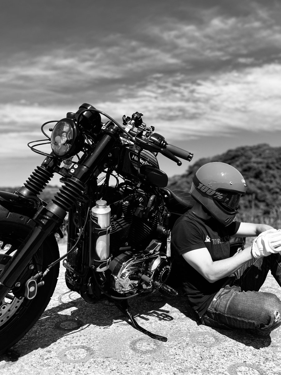 ドナドナ - Search / X