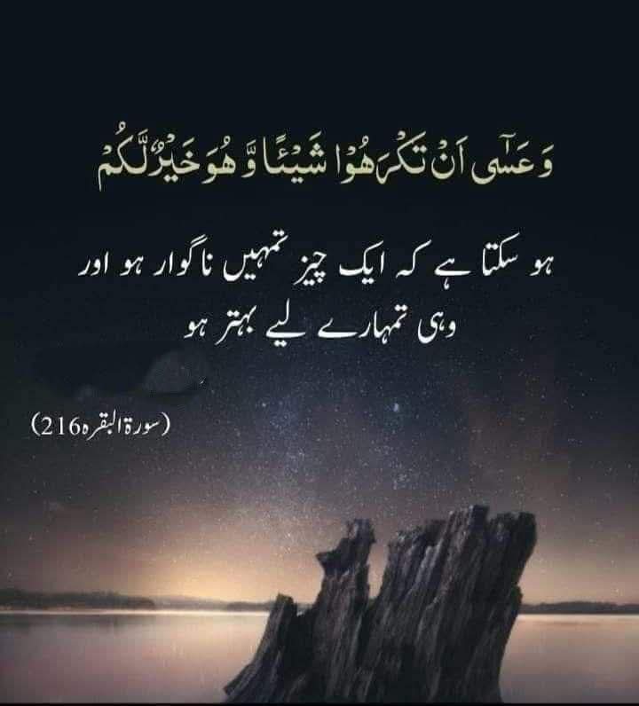 AssalamoAlaikum Subhabakher have a peaceful😊 Sunday to all of you guys stay blessed ❤️