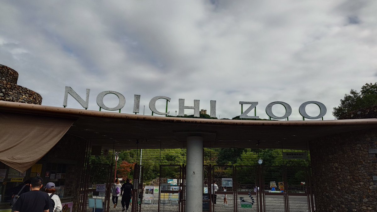 流木のイノシシ 流木のイノシシ SujikoSujio on X