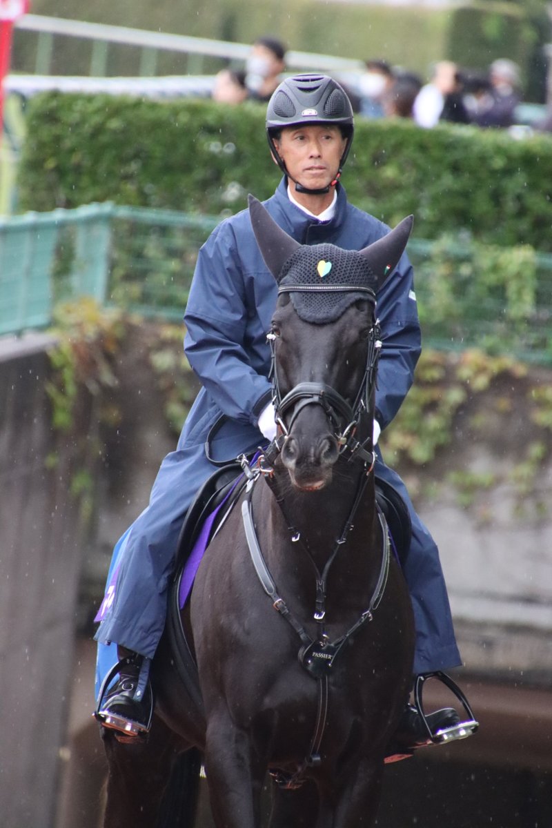 コアラ🐨 (@koakoakoara883) / Posts / X