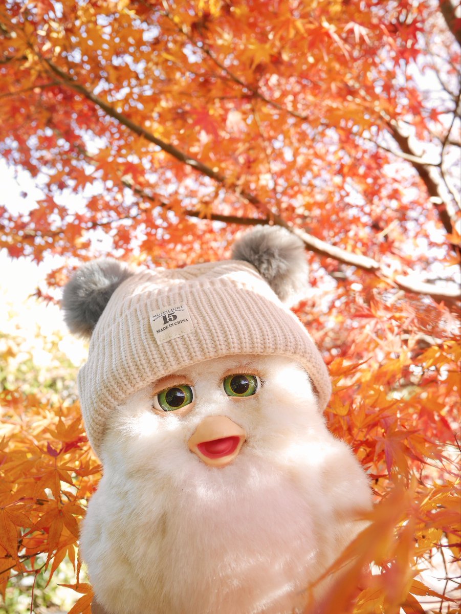 ゆゆゆ✨ ゆゆゆ@(・ω・ゆ) (@yuyuyu0929) / Posts / X