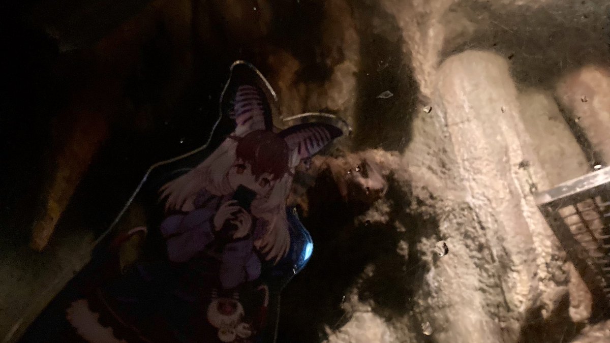 ウサコ様 ぬっさん on X