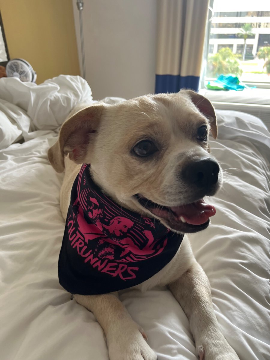 weedsponge's tweet photo. Youngest dog alive. #Outrunners https://t.co/5tDGQzt3O5